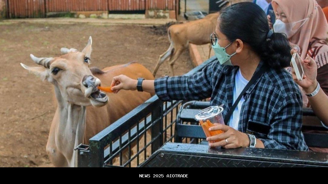 Harga Tiket Masuk Jatim Park 2 2025 Terbaru