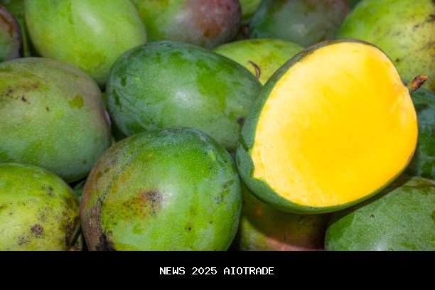 5 Tips Cepat Mengomat Mangga, Bahan Dapur Saja