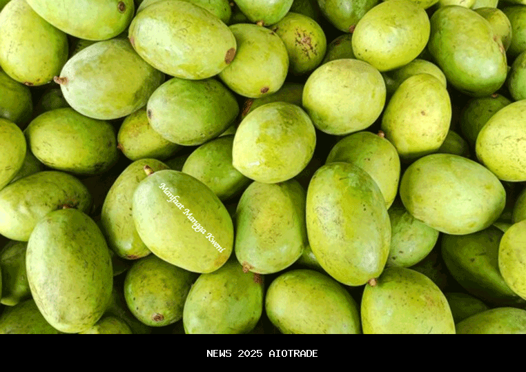 Manfaat Mangga Kweni untuk Kesehatan Tubuh