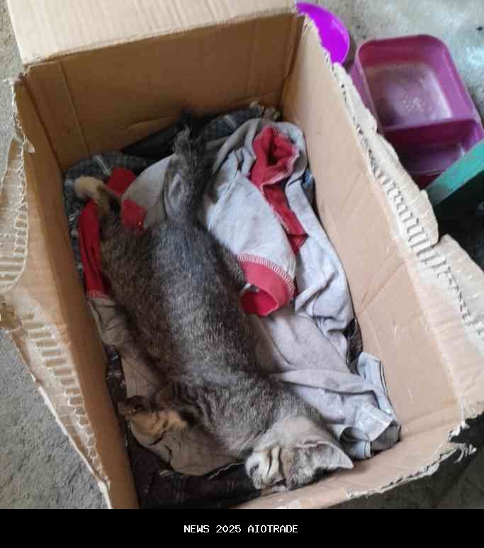 Selamat Jalan One Piece, Kau Akan Terus Hidup di Hati Kami