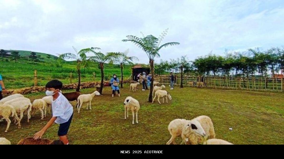 Menggala Ranch, Wisata Edukasi Ala New Zealand di Banyumas