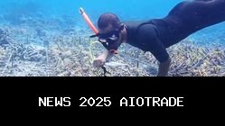 WP dan CECT Trisakti Tanam 3.750 Terumbu Karang di Labuan Bajo