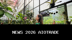 Liburan Romantis di Hutan Pinus Lembang Bandung