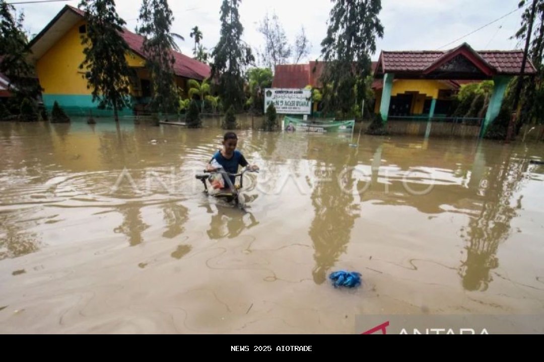 Selama 2007-2025, 6 Tewas dan 7 Luka Akibat Serangan Buaya di Aceh Singkil