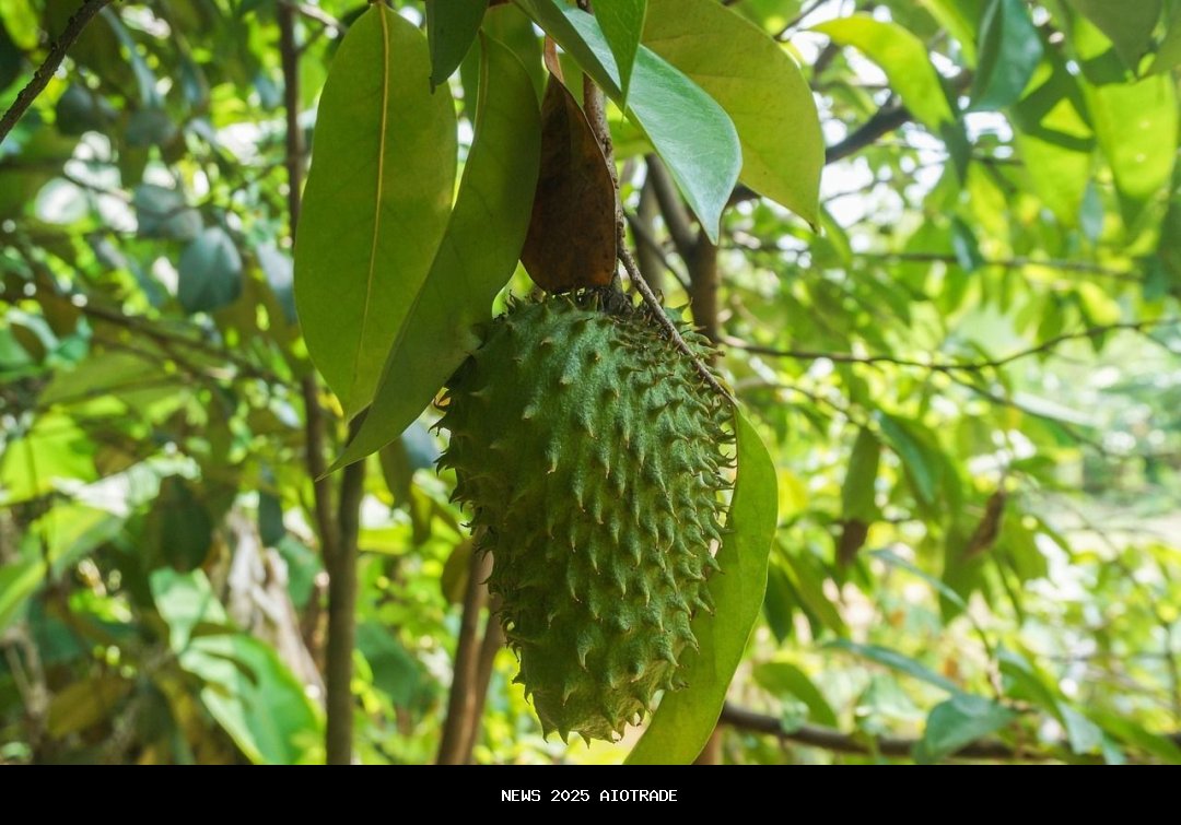 Cara Sehatkan Tubuh: 9 Manfaat Luar Biasa Daun Sirsak yang Harus Diketahui