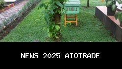 Taman Wisata Lebah: 4 Alasan Ideal untuk Edukasi Keluarga Akhir Pekan