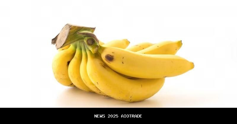 16 Buah yang Membantu Konsepsi, Wajib Dikonsumsi untuk Cepat Hamil