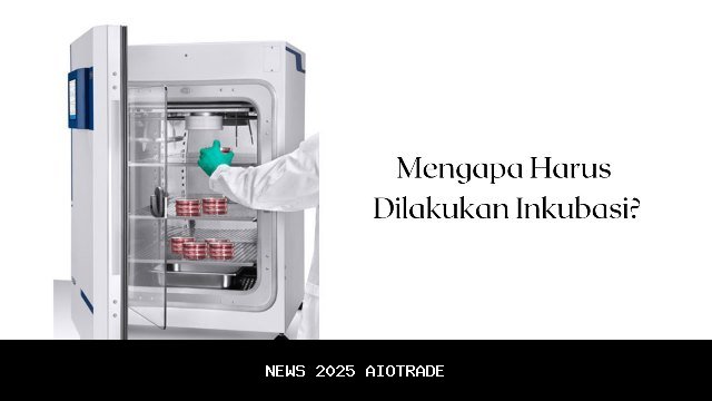 Inkubasi Bisnis Muda DIY Masuki Tahap 2, Kesiapan Pengusaha Muda Diuji