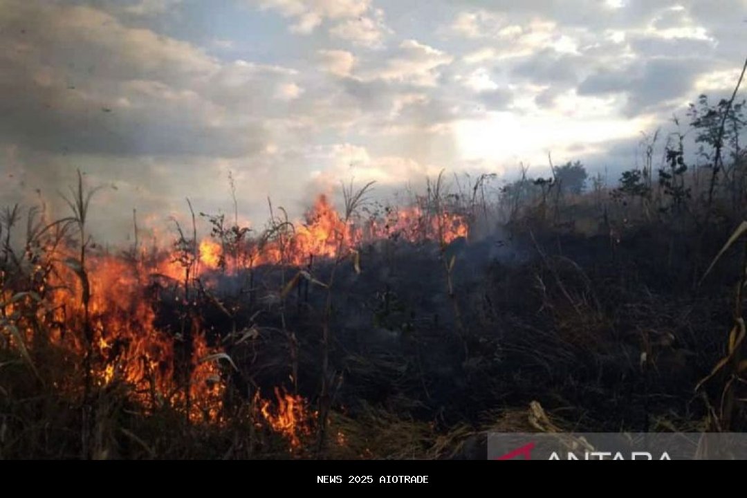 Satgas MBG Lombok Timur Selidiki Penyebab Siswa Mual dan Pusing Usai Konsumsi MBG