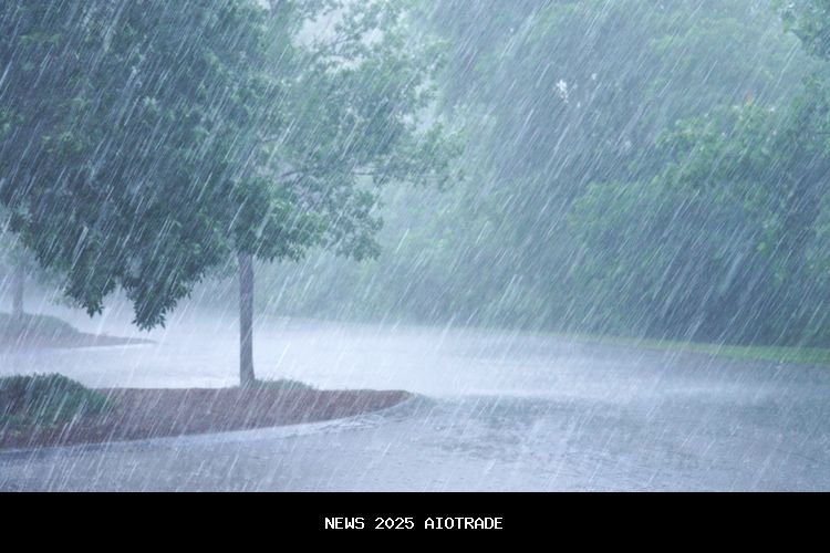 Parigi Moutong Siang Ini Diguyur Hujan Lebat dan Angin Kencang