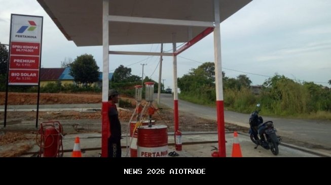 Petani Babulu PPU Panen 4,4 Ton Padi Lokal Sri Mulia per Hektare