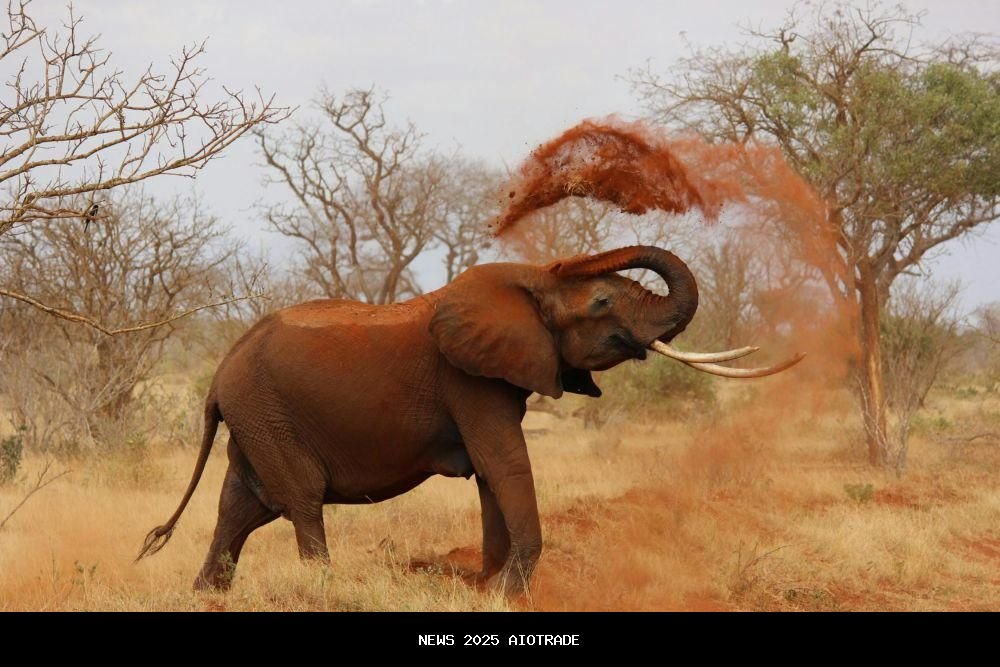 Empat Hewan dengan Cara Bersihkan Tubuh yang Unik