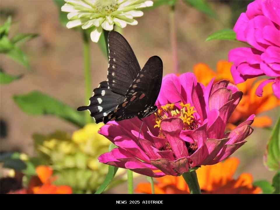 Hiduplah Seperti Bunga, Tak Mengejar Tapi Dikunjungi