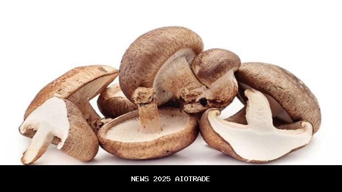 Waspadai Dapur, Kanker Hati Berawal dari Sini, Buang Sumber Jamur Sekarang