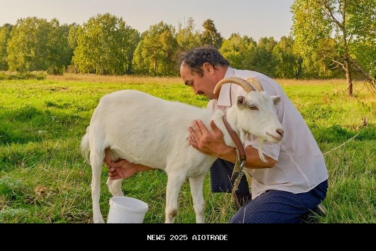 Manfaat Susu Kambing untuk Cegah Asam Urat dan Bahaya Jantung Ginjal