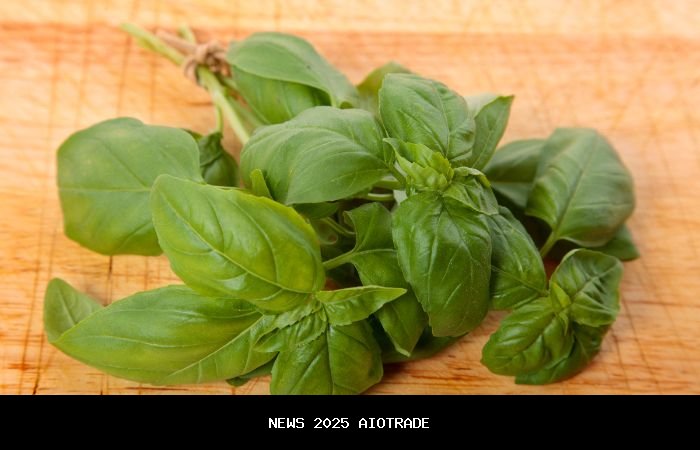 Manfaat Daun Kemangi untuk Kesehatan: Bisa Mencegah Kanker?