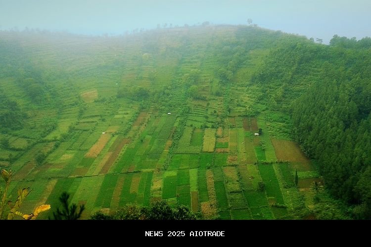 10 Destinasi Wisata Alam Magetan untuk Liburan Keluarga atau Teman