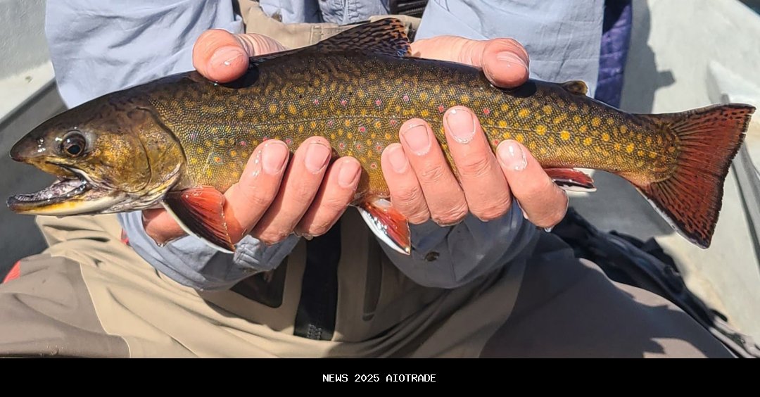 Laporan kasus Maine mengklaim aturan memancing dengan umpan alami adalah yang membatasi para pemanci