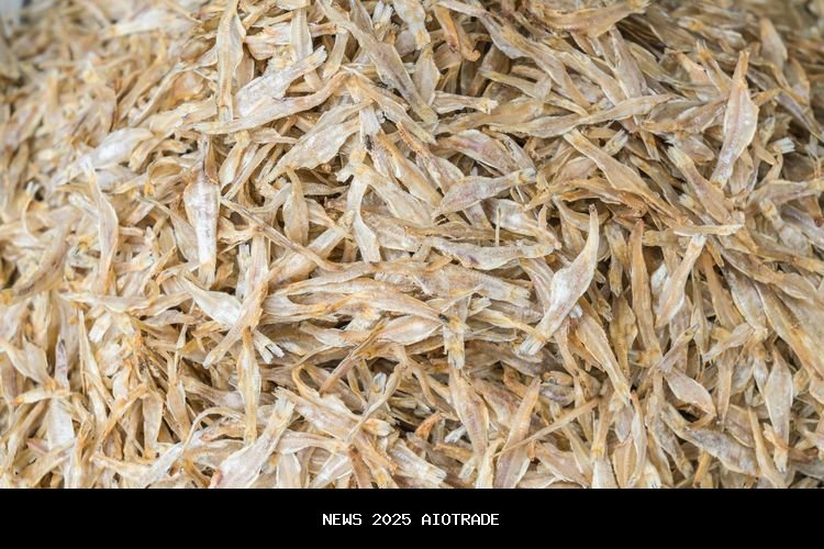 Ikan Teri: Kecil Tapi Kaya Manfaat, Ini 5 Manfaatnya Jika Dikonsumsi Rutin