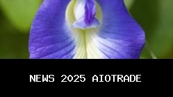 7 Manfaat Luar Biasa Bunga Telang, Tanaman Rambat Alami