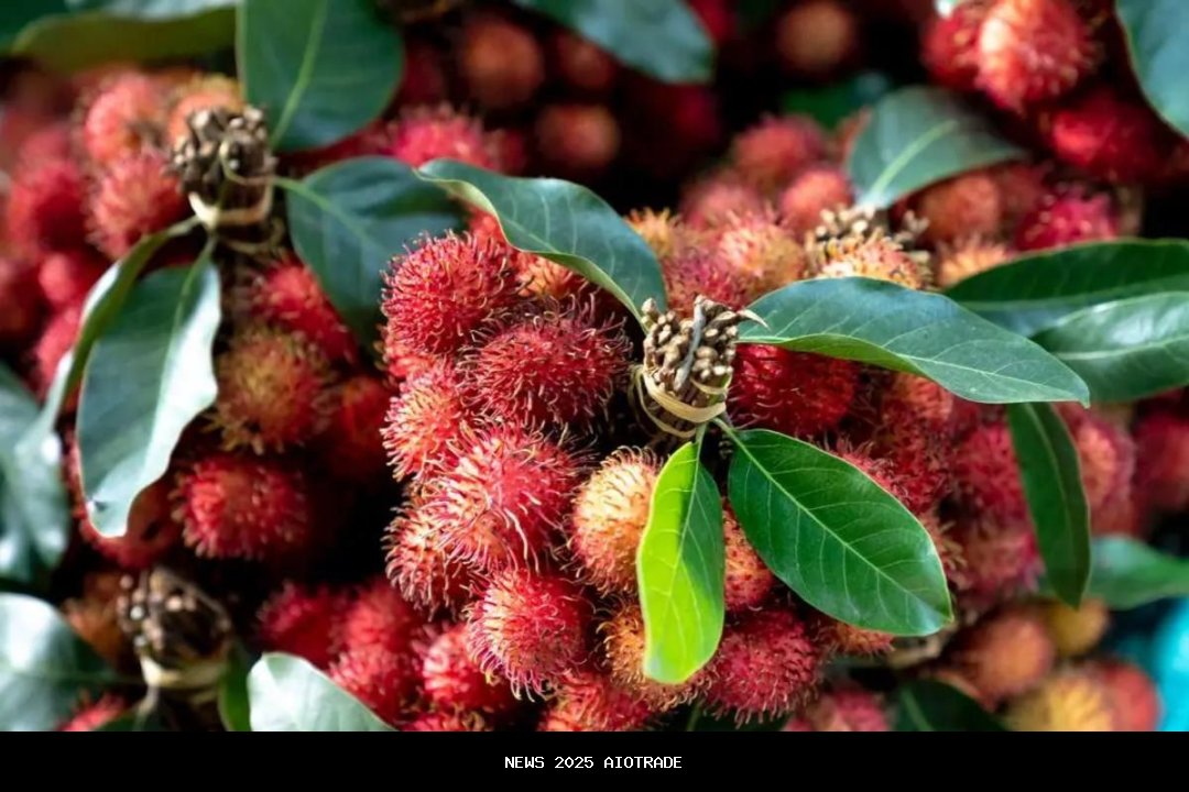 7 Kandungan Rambutan untuk Kesehatan Ibu Hamil, Tingkatkan Daya Tahan Tubuh