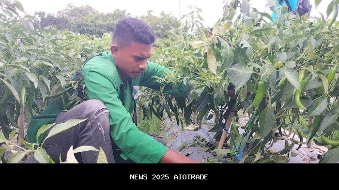 PKKMB Politeknik St Wilhelmus Boawae: Mahasiswa Dibekali Teknologi Digital