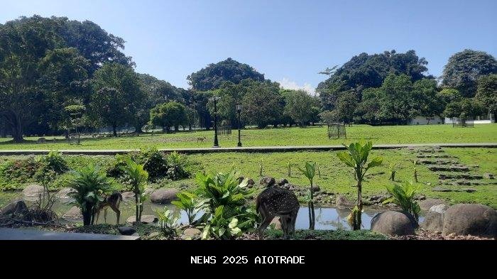 Liburan Anak di Bogor: Jelajah Kebun Raya dan Bermain Air di The Jungle