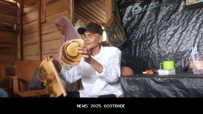 Mengunjungi Peternak Lebah Madu Medco E&P di Muara Enim