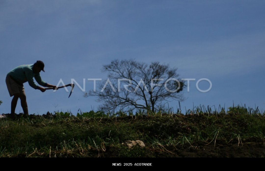 Perbup Perlindungan Lahan Pertanian Jombang Tunda Implementasi hingga 2025, Revisi Data Terus Berlan