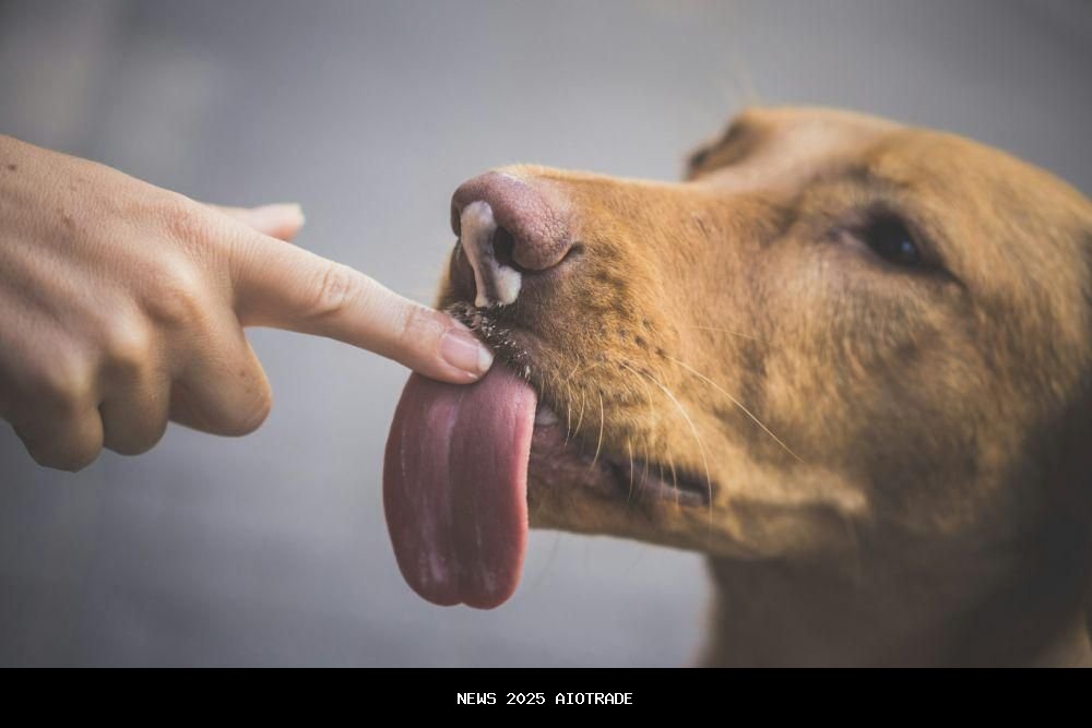 Fakta Ilmiah Air Liur Anjing: Kandungan Antibakteri Alami