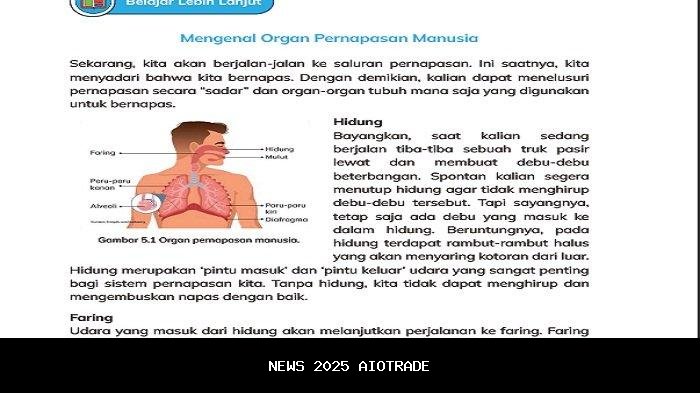 Kunci Jawaban Halaman 135 IPAS Kelas 5: Cara Manusia Bernapas