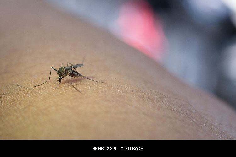 Mengenal Malaria: Penyakit dari Gigitan Nyamuk dengan Gejala Demam dan Menggigil