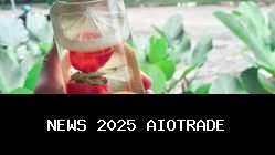 Air Minum Botolan Sehat dan Segar dengan Rasa Variasi