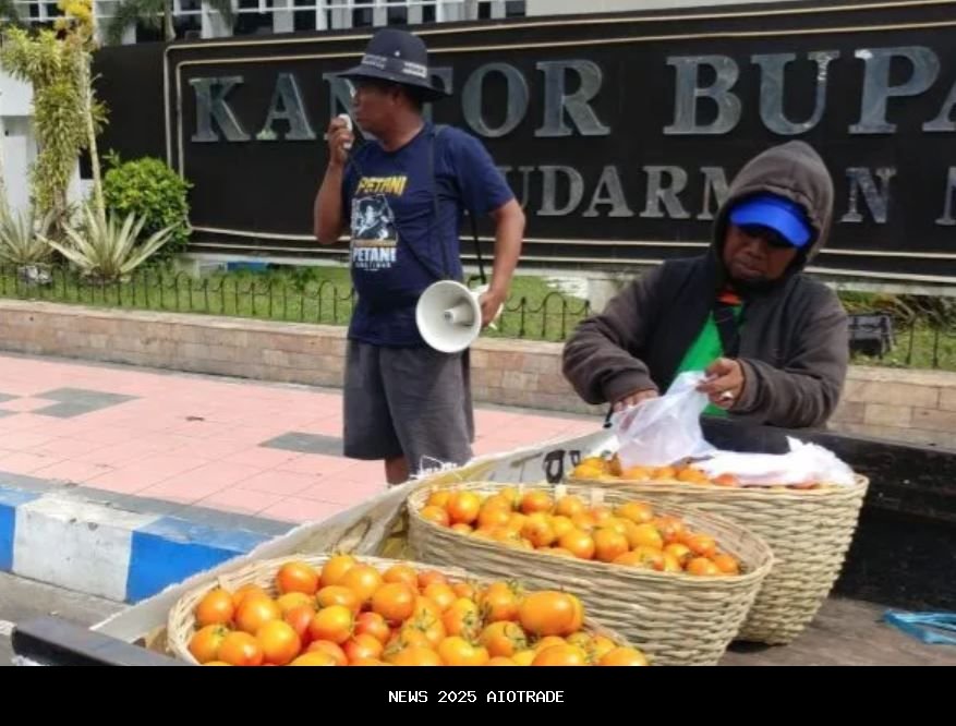 Petani kentang Lalmonirhat melihat keuntungan mereka membusuk saat harga anjlok